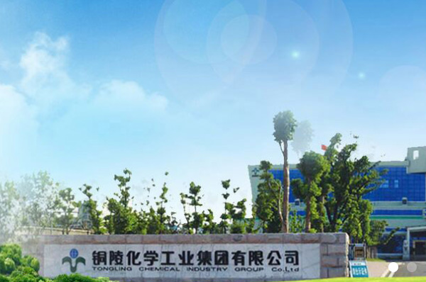 六國化工受邀出席智造糧米全鏈戰(zhàn)略研討會(huì)